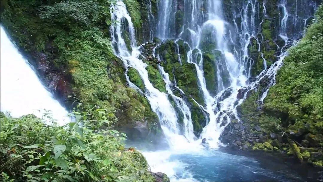 拯救蝙蝠家族